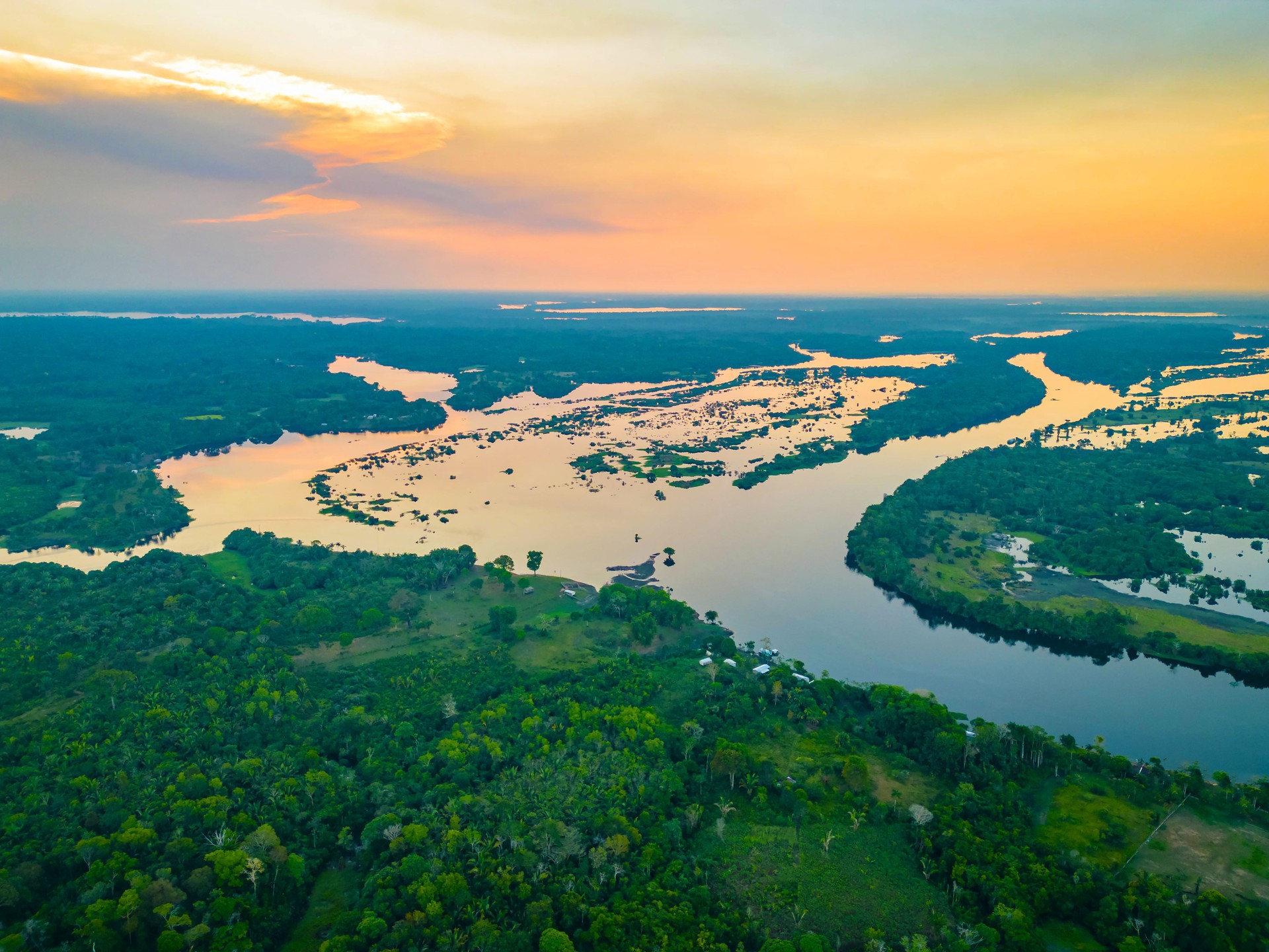Vista aérea cênica do pôr do sol da floresta tropical aquática no Amazonas, Brasil